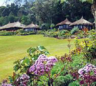 Ambua Lodge