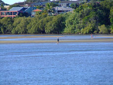 Ballina River