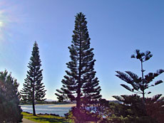 Ballina River