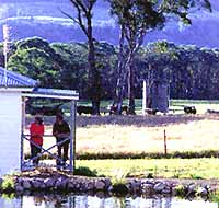 Cottage and Pond