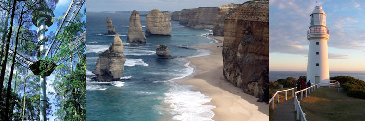 Otways : Great Ocean Road