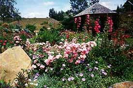 Gardens at Camperdown