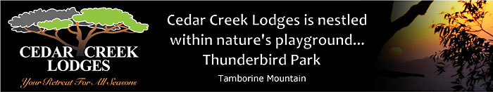 Cedar Creek Lodges