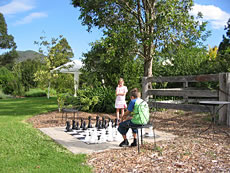 Garden Chess