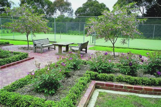 Tennis Court