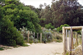 Path to Beach