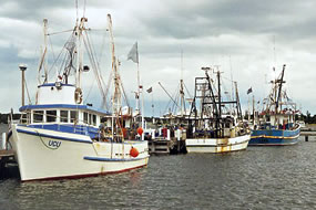 Trawlers