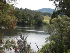 Huon River