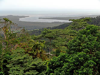 Daintree River