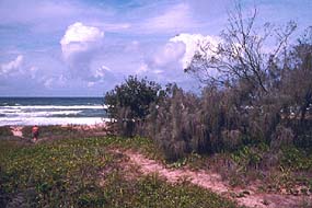 Pathway to Deserted Beach