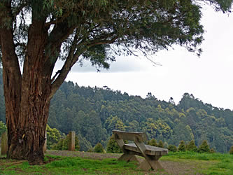 RJ Hamer Arboretum