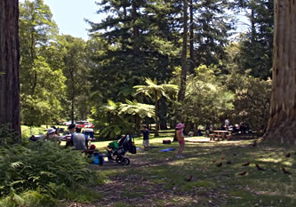 Badger Creek Picnic Ground