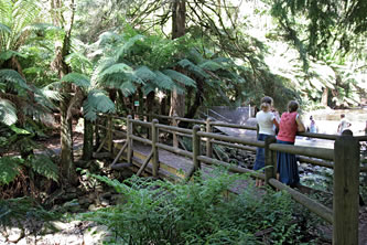 Badger Creek Weir