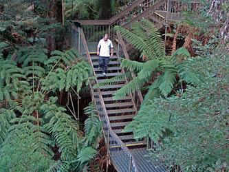 Yarra Ranges National Park