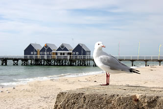 Busselton Pier