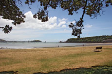 Okahu Bay