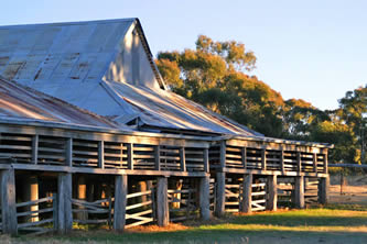 Historic Shearing Shed