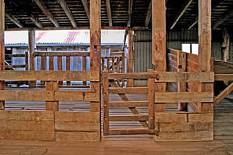 Shearing Shed