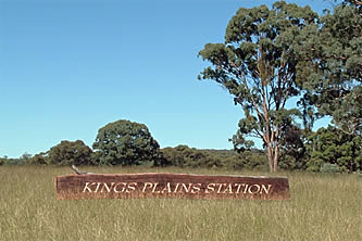 KIngs Plains Castle