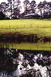 View from the Dam