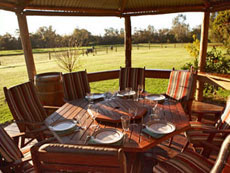 Dining in Gazebo