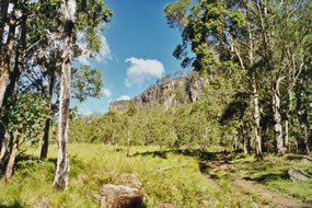 Condamine Gorge