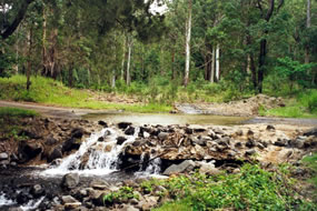 Teviot Brook