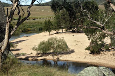 Retreat Shearers Quarters