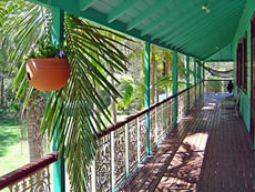 Shady Veranda