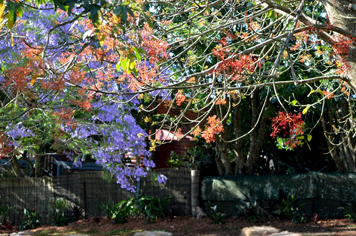 Weddings at Ruddles Retreat Maleny