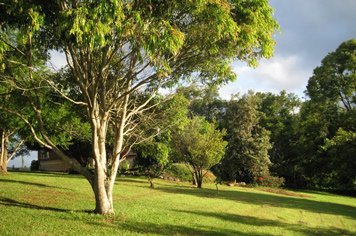 Weddings at Ruddles Retreat Maleny