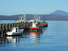 Eden, NSW South Coast