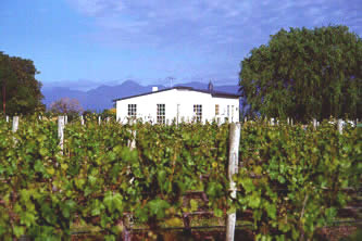 Vineyards