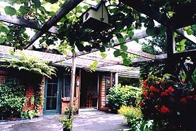 A Shady Spot for Afternoon Tea 